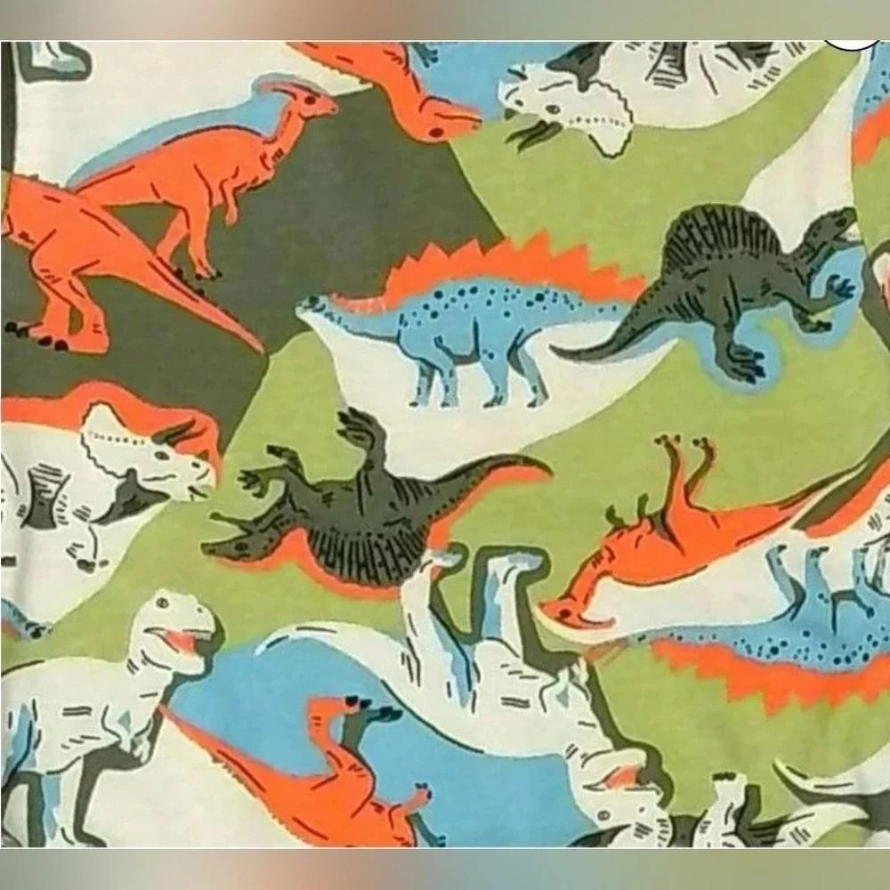 Carters Kids 4 Piece Pajama Set‎ 12M Dinosaur Print Cotton Sleepwear 1P842710